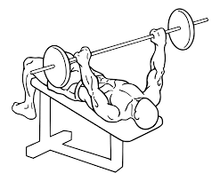 Bench Press