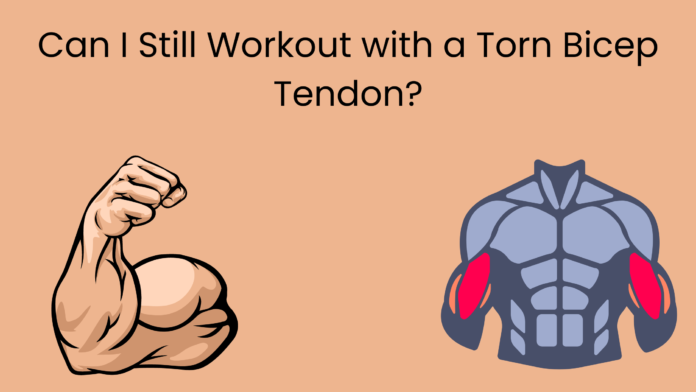 Torn Bicep tendon